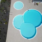 Mariposa Blanca *