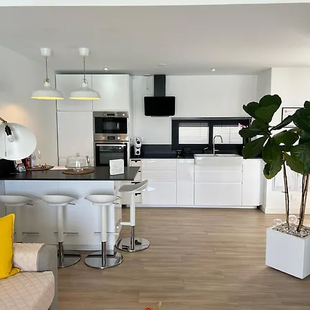 Mariposa Blanca Villaverde (Fuerteventura)