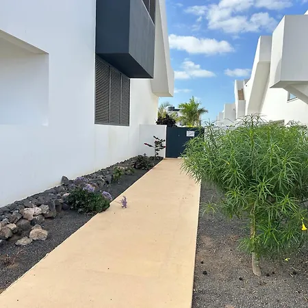 Mariposa Blanca Villaverde (Fuerteventura)