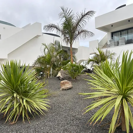 Mariposa Blanca Villaverde (Fuerteventura)