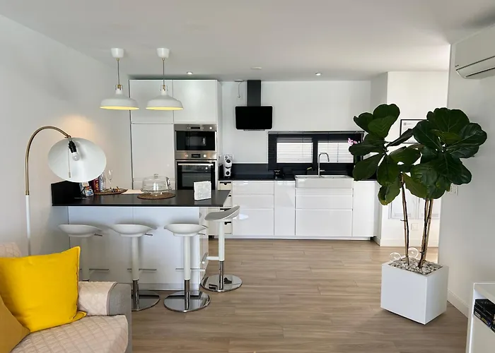 Mariposa Blanca Villaverde (Fuerteventura)