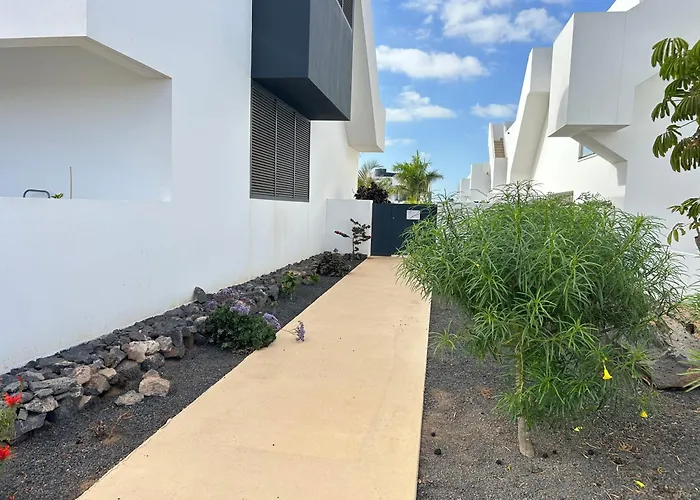 Mariposa Blanca Villaverde (Fuerteventura)