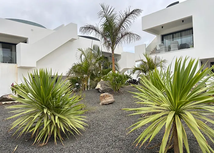 Mariposa Blanca Villaverde (Fuerteventura)