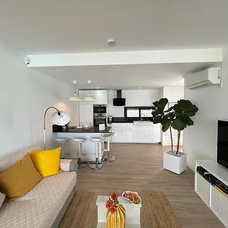 Mariposa Blanca Villaverde (Fuerteventura)