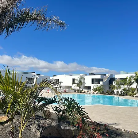 Mariposa Blanca Villaverde (Fuerteventura)